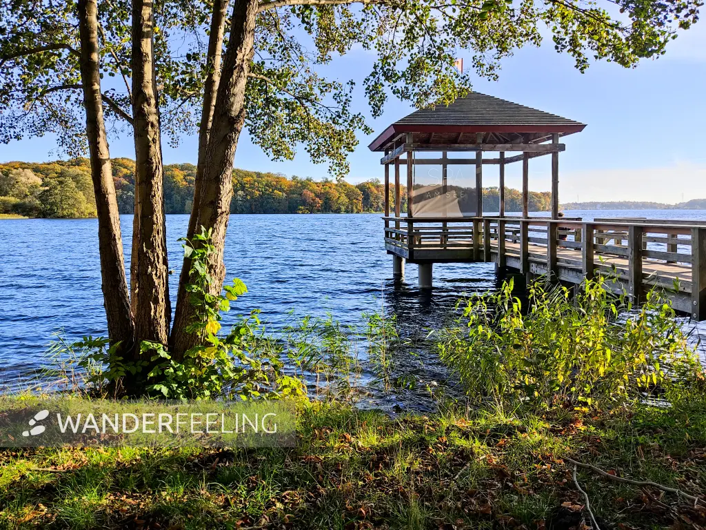 202310300-18 - Tiefwarensee bei Waren, Mecklenburgische Seenplatte, Mecklenburg-Vorpommern, Deutschland