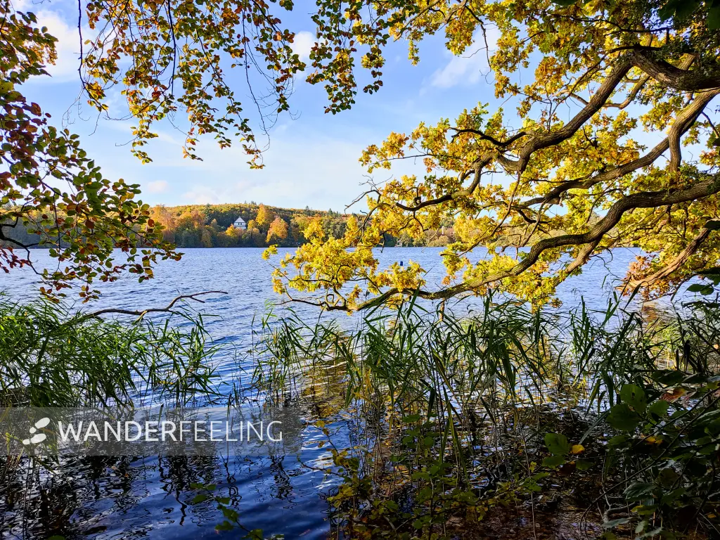202310300-24 - Tiefwarensee bei Waren, Mecklenburgische Seenplatte, Mecklenburg-Vorpommern, Deutschland