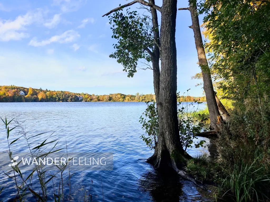 202310300-25 - Tiefwarensee bei Waren, Mecklenburgische Seenplatte, Mecklenburg-Vorpommern, Deutschland
