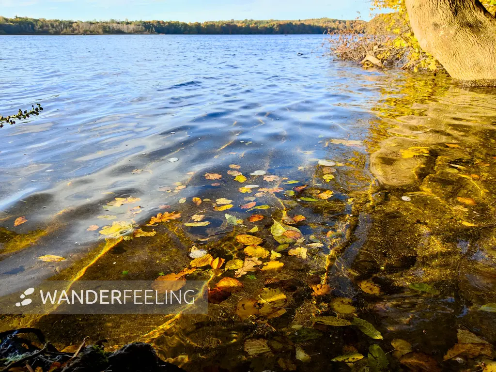 202310300-26 - Tiefwarensee bei Waren, Mecklenburgische Seenplatte, Mecklenburg-Vorpommern, Deutschland