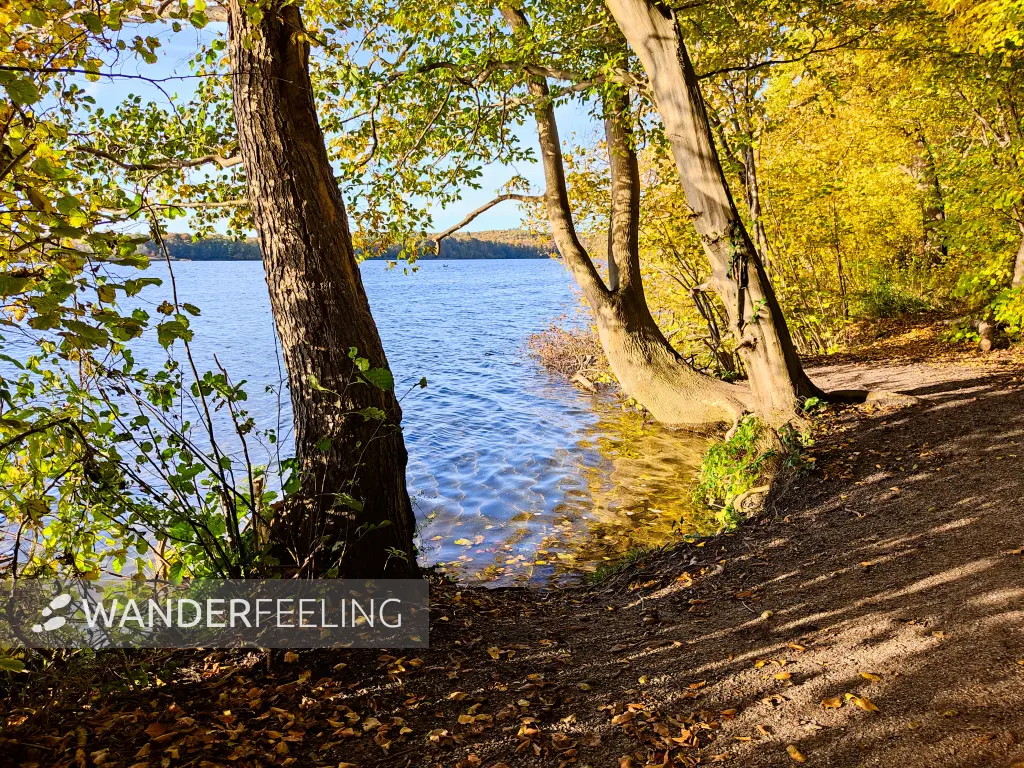 202310300-27 - Tiefwarensee bei Waren, Mecklenburgische Seenplatte, Mecklenburg-Vorpommern, Deutschland