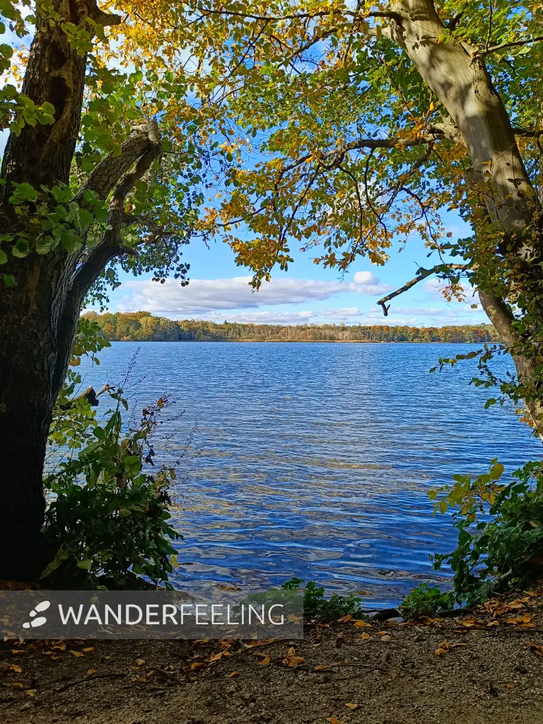 202510180-19 - Tiefwarensee bei Waren, Mecklenburgische Seenplatte, Mecklenburg-Vorpommern, Deutschland