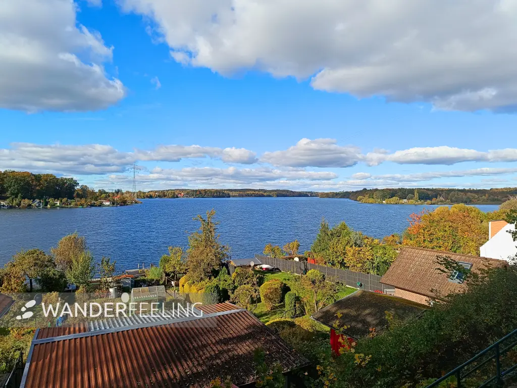 202510180-21 - Tiefwarensee bei Waren, Mecklenburgische Seenplatte, Mecklenburg-Vorpommern, Deutschland