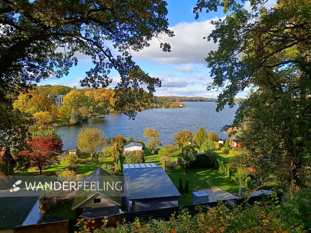 202510180-23 - Tiefwarensee bei Waren, Mecklenburgische Seenplatte, Mecklenburg-Vorpommern, Deutschland