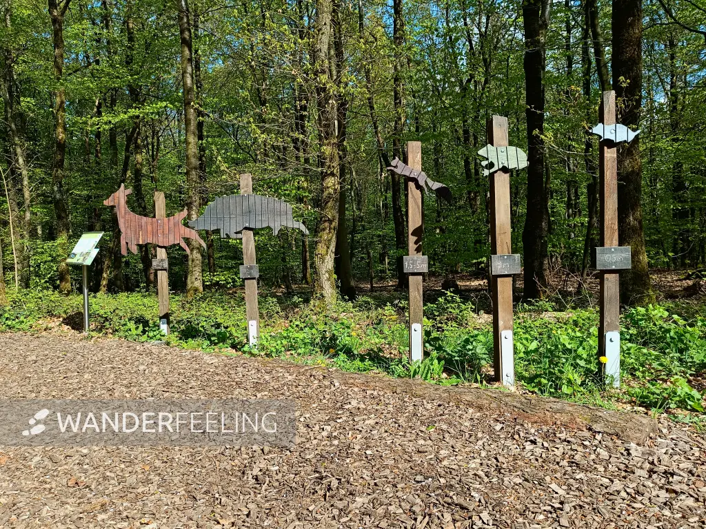 202604210-22 - Tierische Weitspringer im Stadtwald Hagen, Ruhrgebiet, Nordrhein-Westfalen, Deutschland