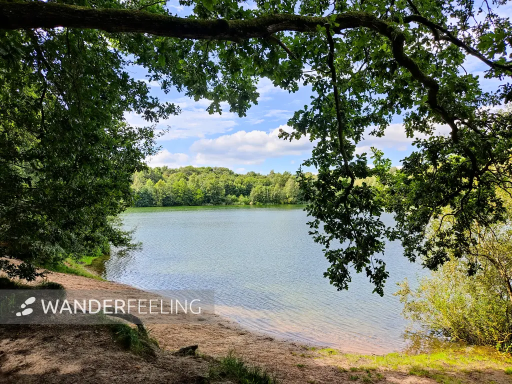 202308160-07 - Tillysee bei Wardenburg, Oldenburger Land, Niedersachsen, Deutschland