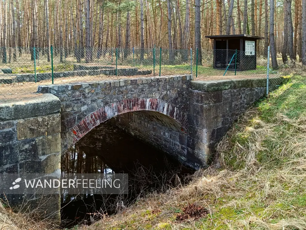 202603120-08 - Torf-Kahn-Schleuse bei Mützel, Elbe-Börde-Heide, Sachsen-Anhalt, Deutschland