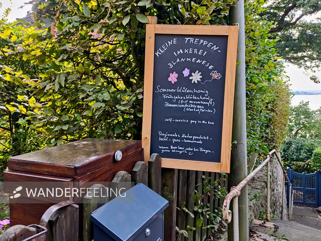 202309250-08 - Treppenviertel in Blankenese, Hamburg, Deutschland