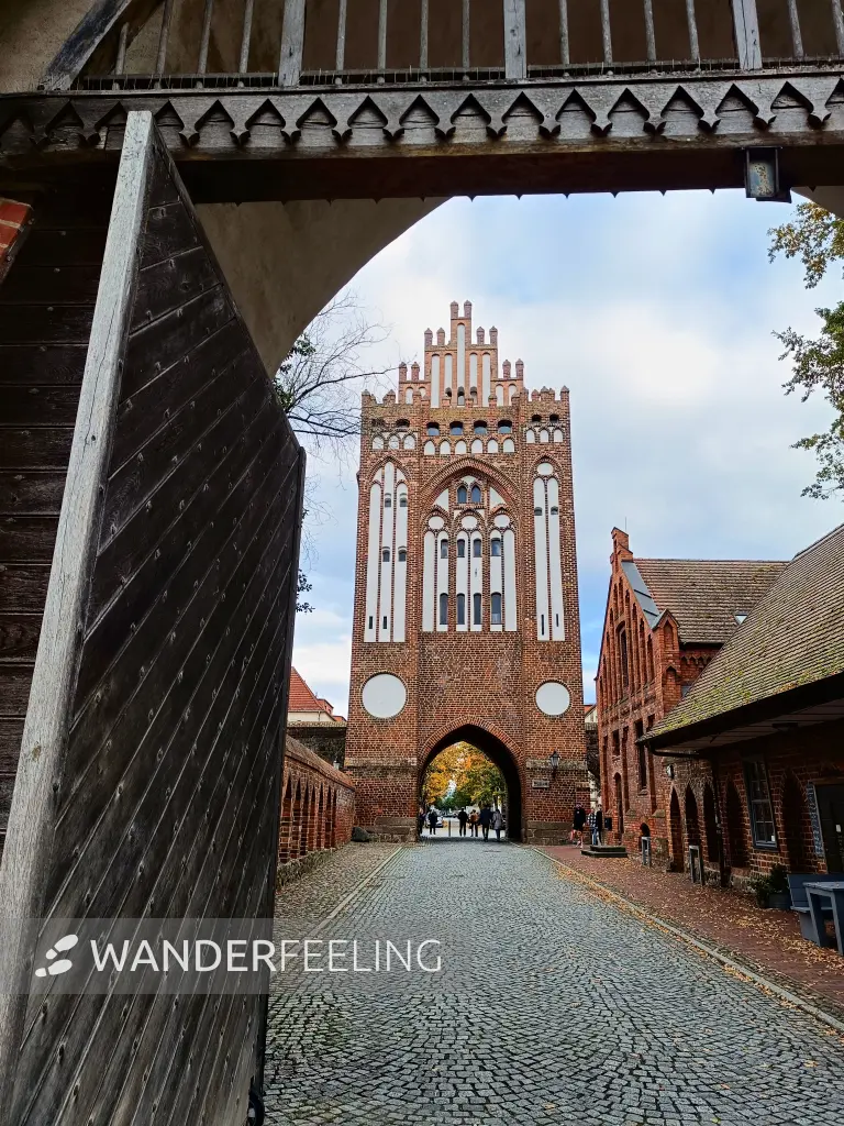 202510210-48 - Treptower Tor in Neubrandenburg, Mecklenburgische Seenplatte, Mecklenburg-Vorpommern, Deutschland