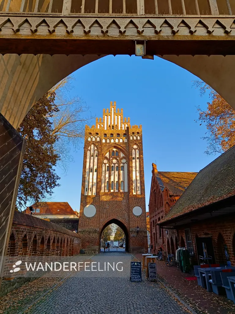 202511071-05 - Treptower Tor in Neubrandenburg, Mecklenburgische Seenplatte, Mecklenburg-Vorpommern, Deutschland