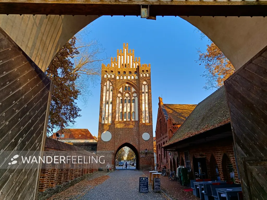 202511071-06 - Treptower Tor in Neubrandenburg, Mecklenburgische Seenplatte, Mecklenburg-Vorpommern, Deutschland