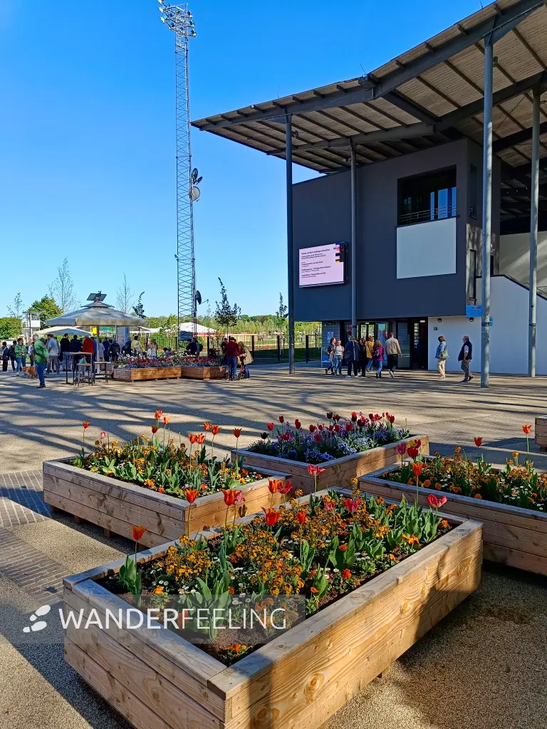 202604231-16 - Tribünengebäude am Stadtpark in Neuss, Niederrhein, Nordrhein-Westfalen, Deutschland