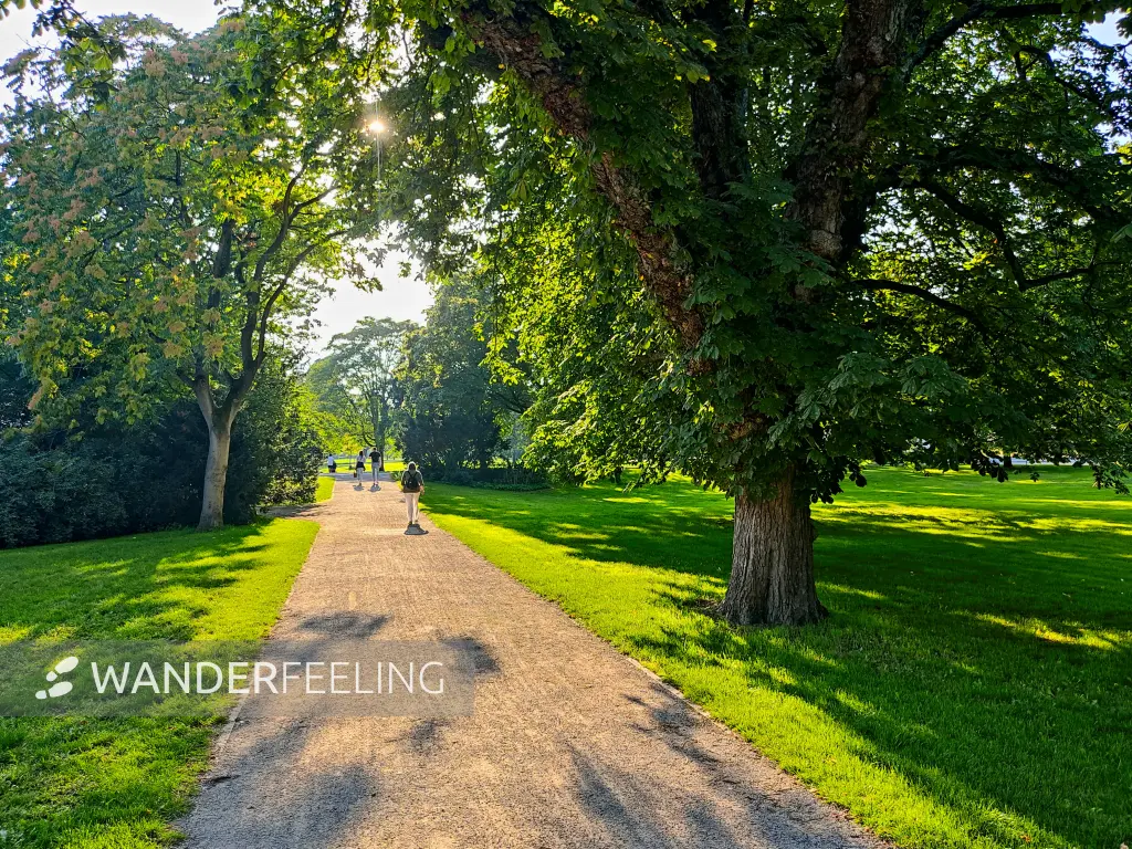 202308181-36 - Triftanlagen in Celle, Lüneburger Heide, Niedersachsen, Deutschland