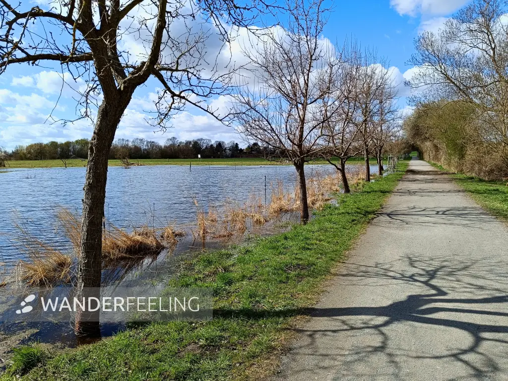 202604060-13 - Überschwemmte Wiesen am Kleinen Zingerteich bei Blankenfelde, Berlin, Deutschland