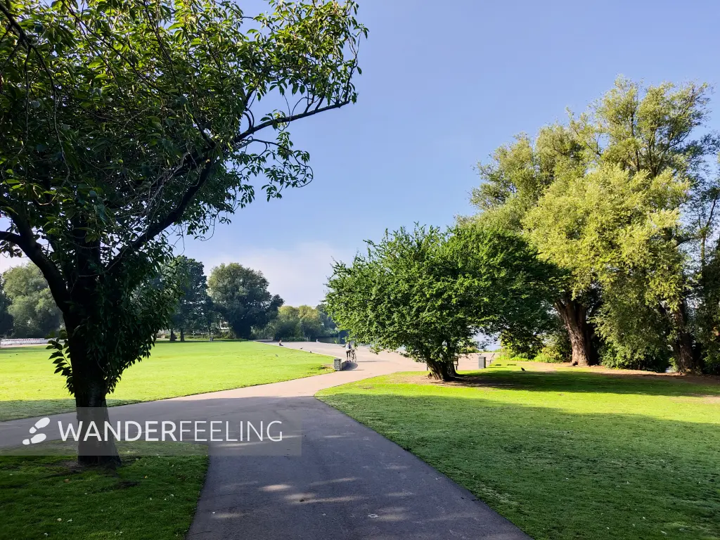 202308200-10 - Uferpark an der Außenalster, Hamburg, Deutschland