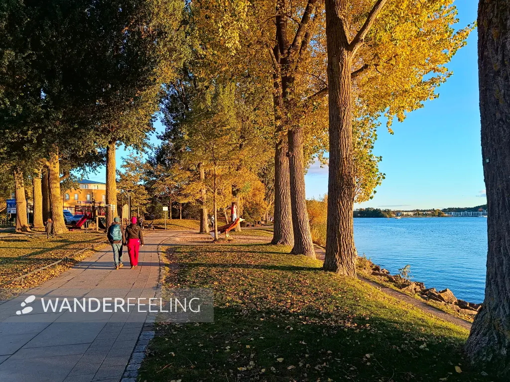 202510180-31 - Uferpromenade an der Binnenmüritz in Waren, Mecklenburgische Seenplatte, Mecklenburg-Vorpommern, Deutschland