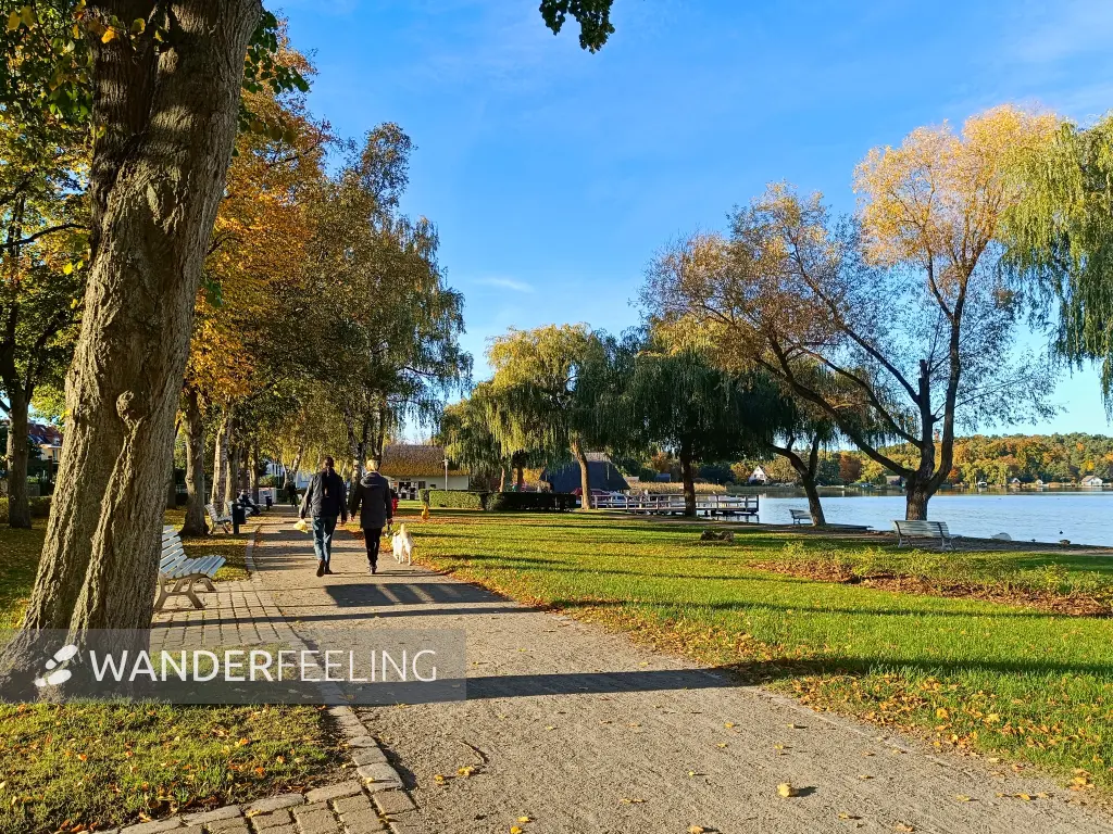 202510130-22 - Uferpromenade in Krakow am See, Mecklenburgische Seenplatte, Mecklenburg-Vorpommern, Deutschland