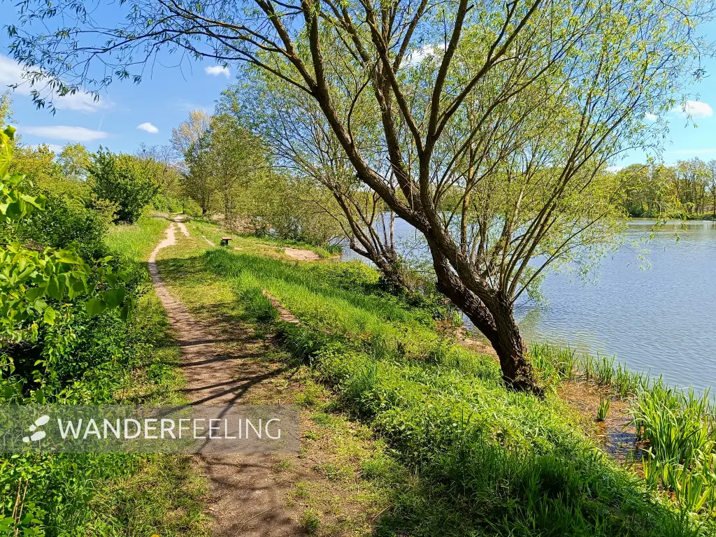 202404270-03 - Uferweg am Baggersee von Treuenbrietzen, Fläming, Brandenburg, Deutschland