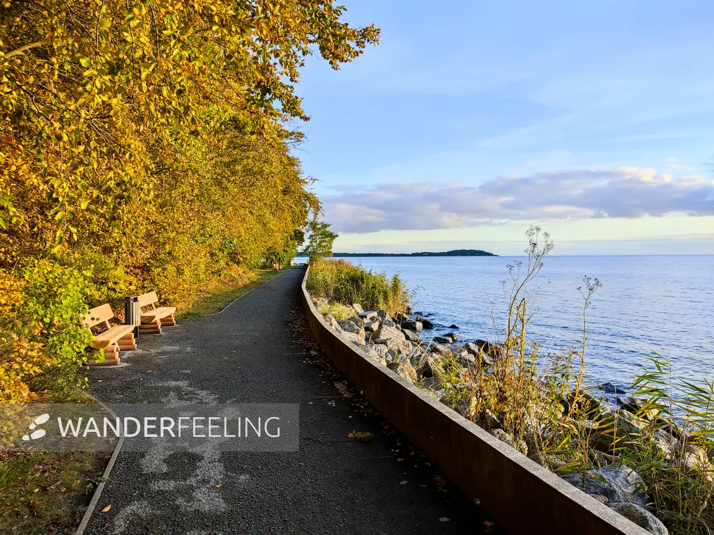202310160-47 - Uferweg am Greifswalder Bodden bei Lauterbach, Rügen, Mecklenburg-Vorpommern, Deutschland