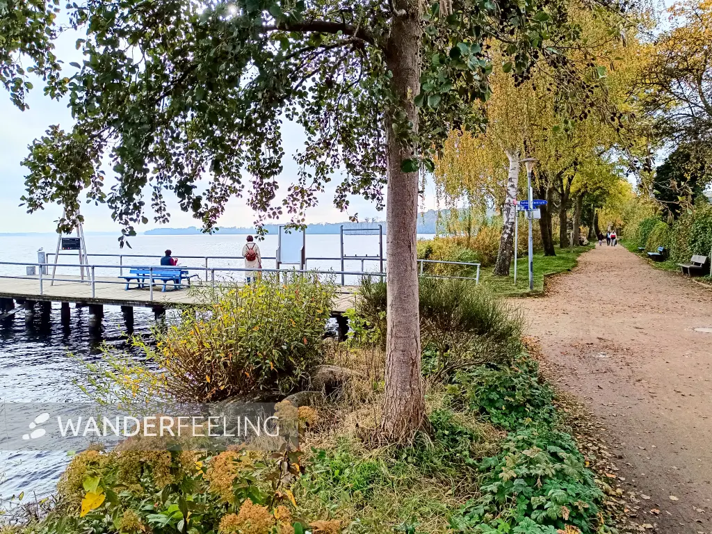 202410230-37 - Uferweg am Großen Plöner See bei Plön, Holsteinische Schweiz, Schleswig-Holstein, Deutschland