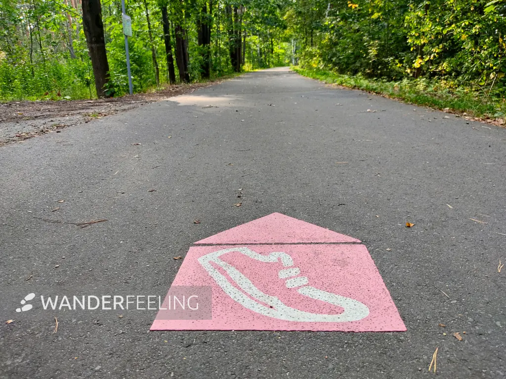 202309150-30 - Uferweg am Senftenberger See bei Niemtsch, Lausitz, Brandenburg, Deutschland