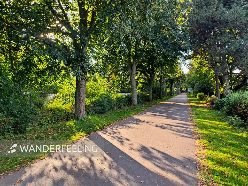 202309150-33 - Uferweg am Senftenberger See bei Niemtsch, Lausitz, Brandenburg, Deutschland