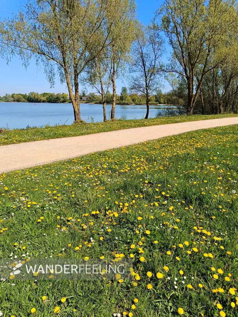 202604250-22 - Uferweg am Südsee bei Xanten, Niederrhein, Nordrhein-Westfalen, Deutschland