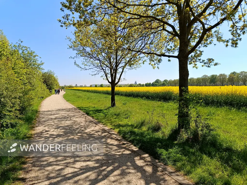 202604250-24 - Uferweg am Südsee bei Xanten, Niederrhein, Nordrhein-Westfalen, Deutschland