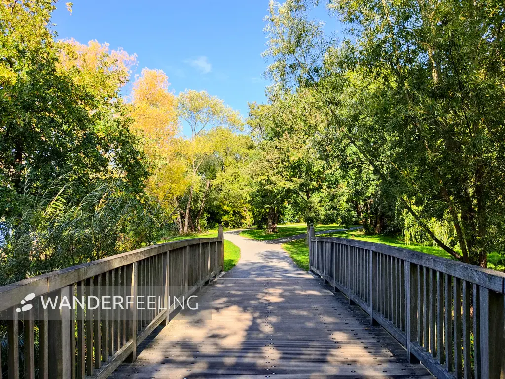 202210040-37 - Uferweg am Südsee in Braunschweig, Niedersachsen, Deutschland