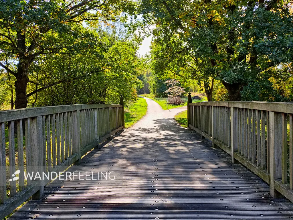 202210040-38 - Uferweg am Südsee in Braunschweig, Niedersachsen, Deutschland