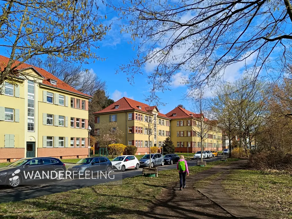202604040-05 - Uferweg am Teltowkanal in Steglitz, Berlin, Deutschland
