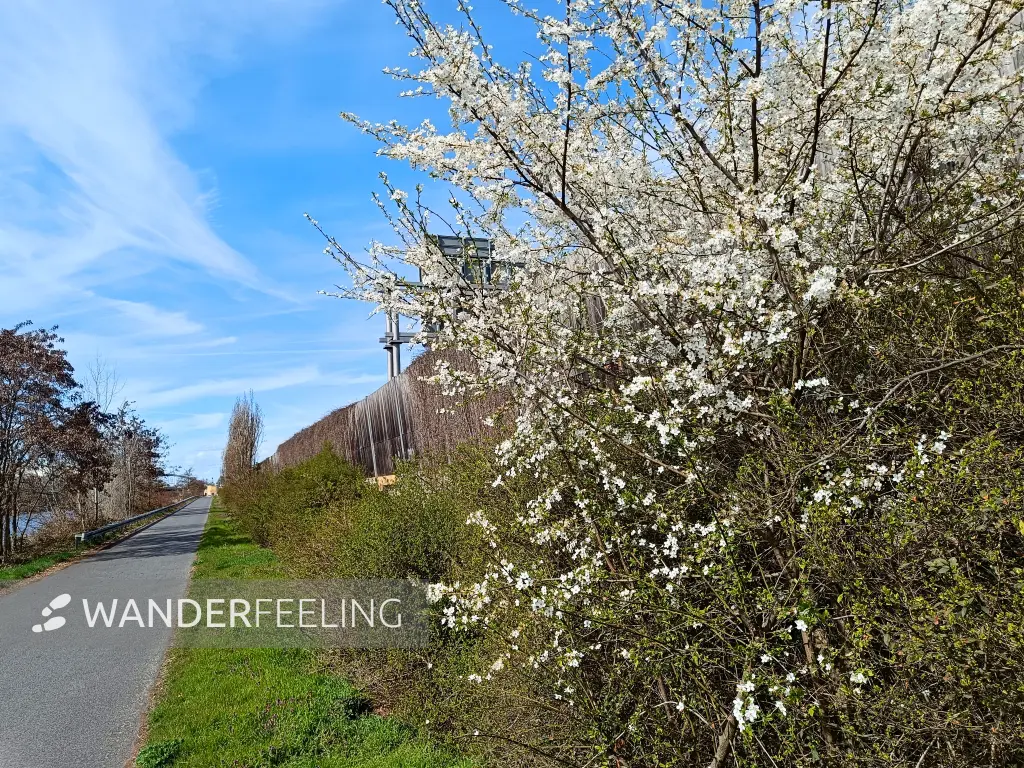 202604040-21 - Uferweg am Teltowkanal in Treptow, Berlin, Deutschland