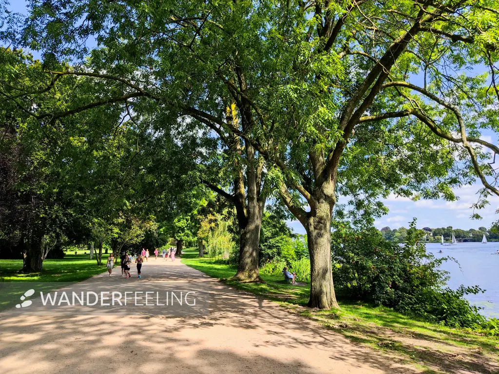 202308200-51 - Uferweg an der Außenalster, Hamburg, Deutschland