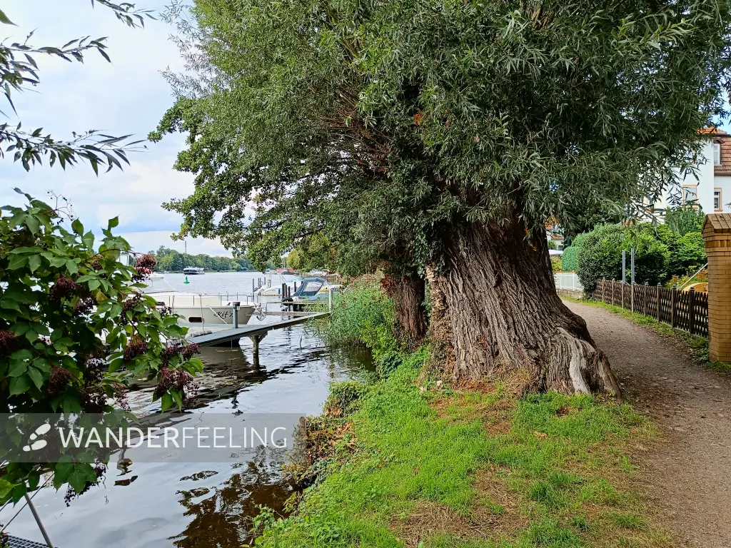 202508300-21 - Uferweg an der Oberhavel in Konradshöhe, Berlin, Deutschland