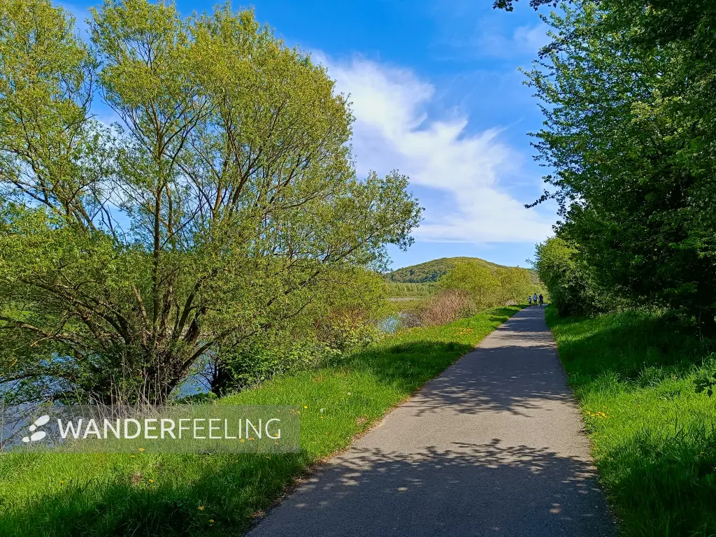 202604260-14 - Uferweg an der Ruhr bei Hattingen, Ruhrgebiet, Nordrhein-Westfalen, Deutschland