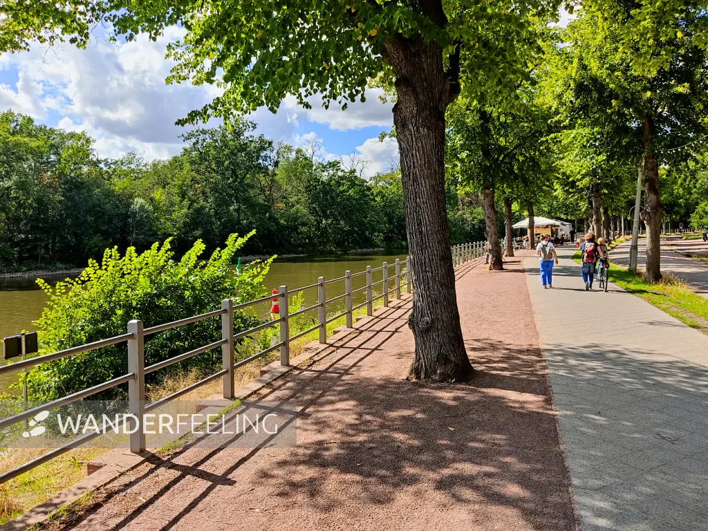 202308090-42 - Uferweg an der Saale in Halle, Sachsen-Anhalt, Deutschland
