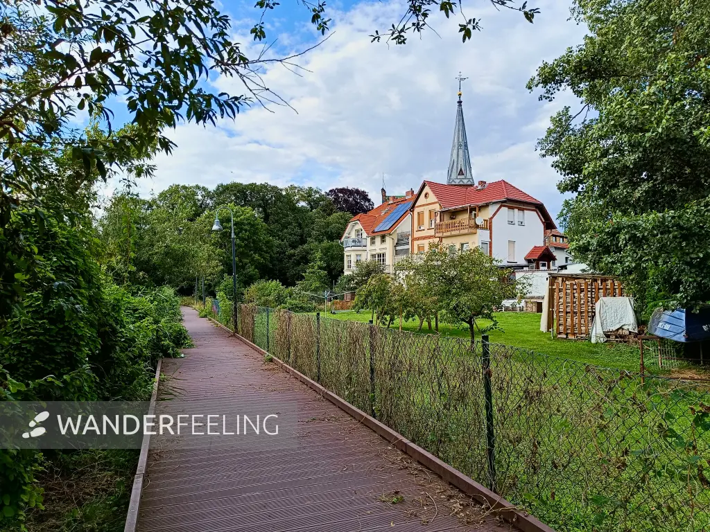 202507300-12 - Uferweg in Geltow, Brandenburg, Deutschland