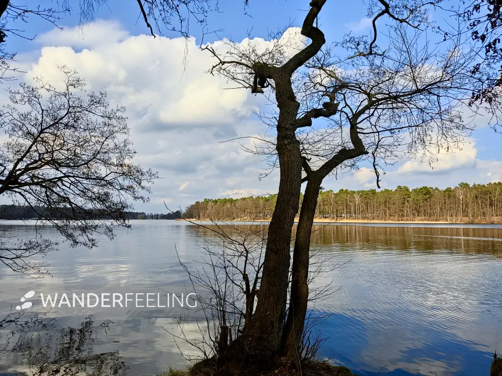 202303180-15 - Untersee bei Bantikow, Prignitz, Brandenburg, Deutschland