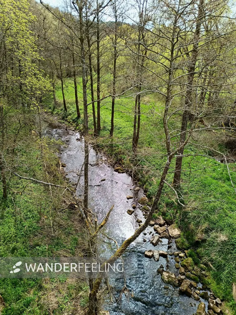 202604270-03 - Urft bei Nettersheim, Eifel, Nordrhein-Westfalen, Deutschland