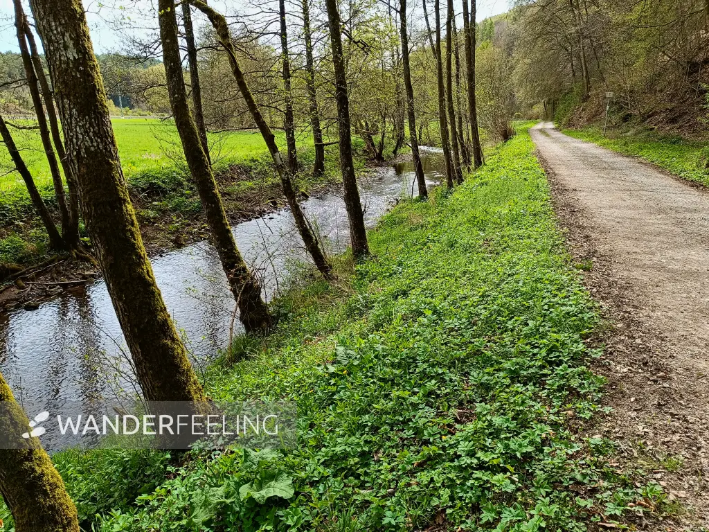 202604270-08 - Urft bei Nettersheim, Eifel, Nordrhein-Westfalen, Deutschland