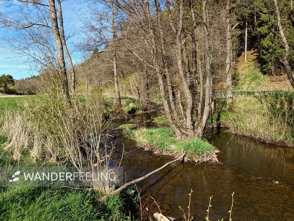 202604270-35 - Urft bei Nettersheim, Eifel, Nordrhein-Westfalen, Deutschland