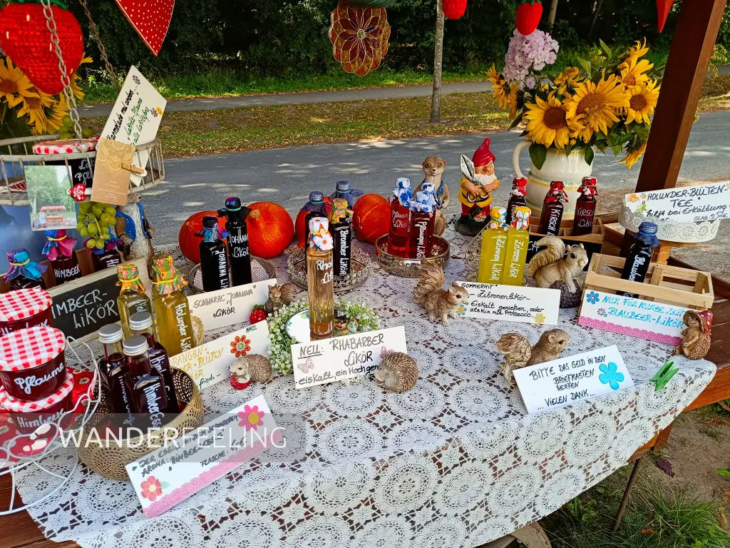 202508200-01 - Verkaufsstand in Waren, Mecklenburgische Seenplatte, Mecklenburg-Vorpommern, Deutschland