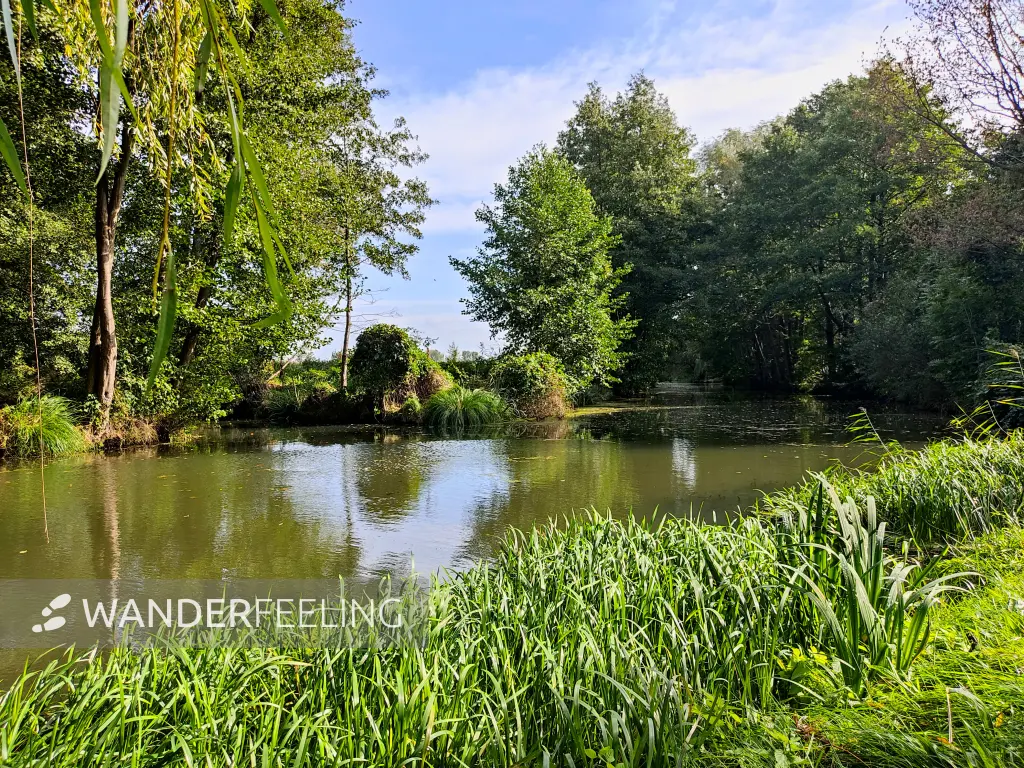 202310060-14 - Vetschauer Mühlenfließ bei Kaupen, Spreewald, Brandenburg, Deutschand