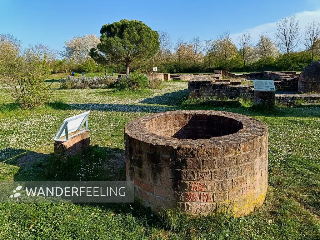202504120-52 - Villa Rustica bei Wachenheim, Pfalz, Rheinland-Pfalz, Deutschland