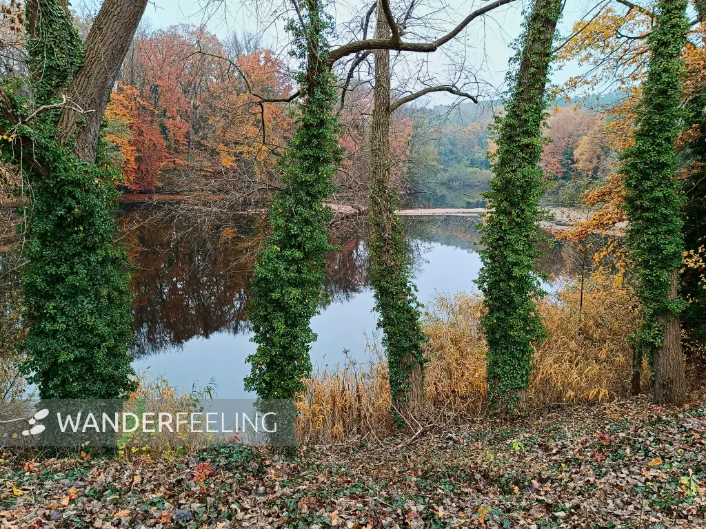 202511080-08 - Voigtscher Park in Deetz, Havelland, Brandenburg, Deutschland