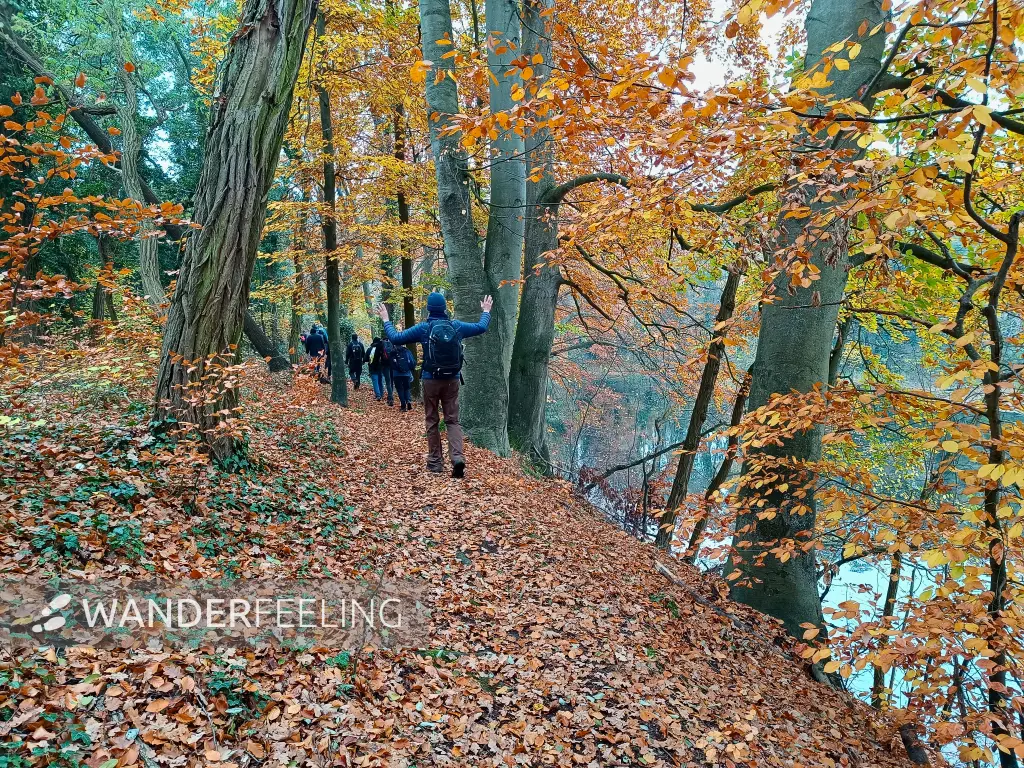 202511080-09 - Voigtscher Park in Deetz, Havelland, Brandenburg, Deutschland