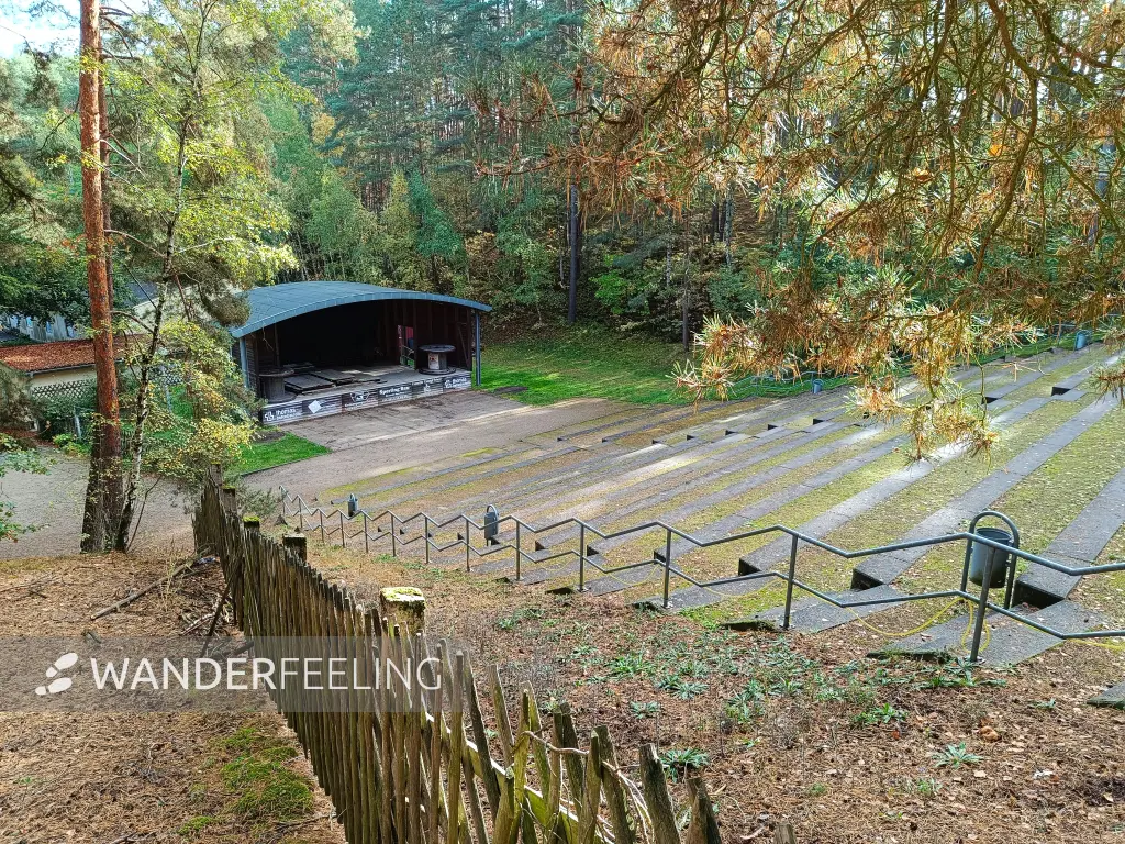 202610140-07 - Waldbühne bei Gehren, Lausitz, Brandenburg, Deutschland