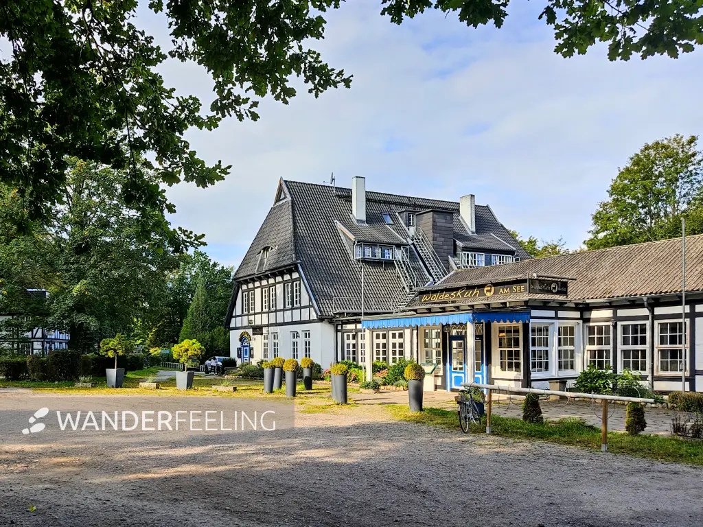 202309230-01 - Waldesruh am Mühlenteich bei Aumühle, Herzogtum Lauenburg und Stormarn, Schleswig-Holstein, Deutschland