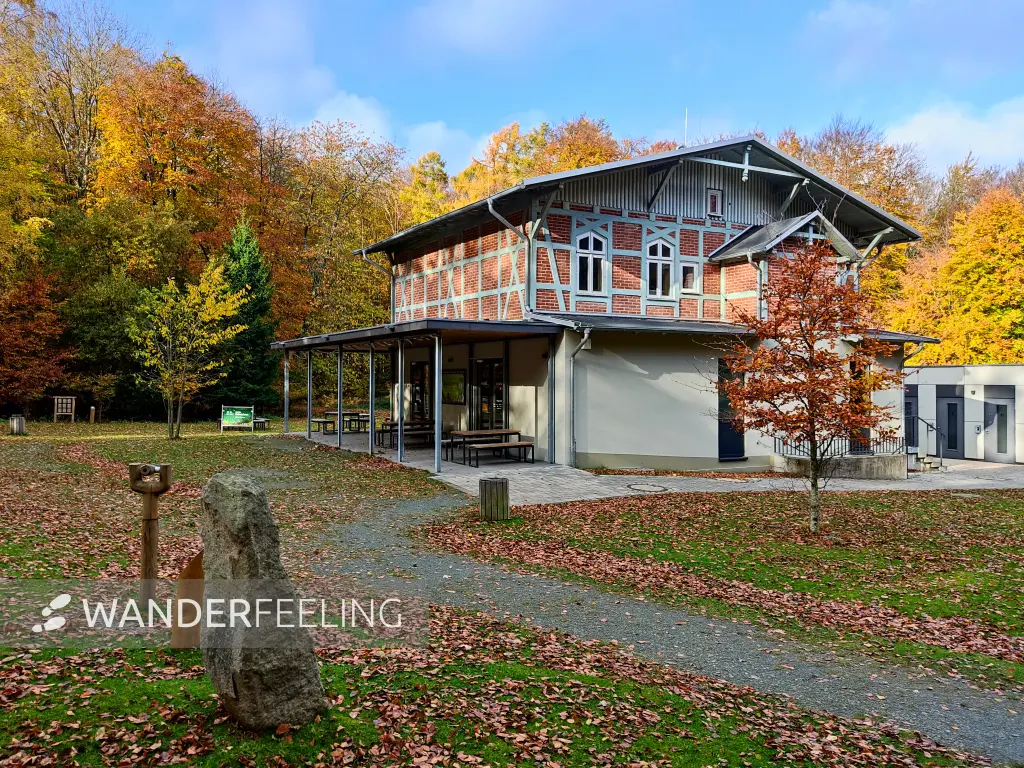 202311070-25 - Waldhalle im Nationalpark Jasmund bei Sassnitz, Rügen, Mecklenburg-Vorpommern, Deutschland