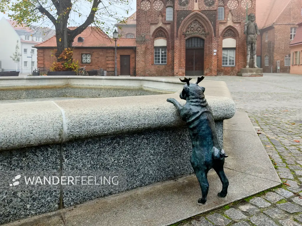 202210310-48 - Waldmops vor dem Altstädtischen Rathaus in Brandenburg an der Havel, Havelland, Brandenburg, Deutschland